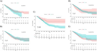 A comprehensive in silico analysis and experimental validation of miRNAs capable of discriminating between lung adenocarcinoma and squamous cell carcinoma